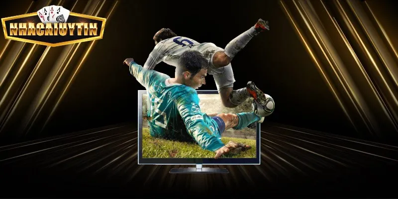 Bạn có thể xem trực tiếp các trận đấu trên nhiều thiết bị