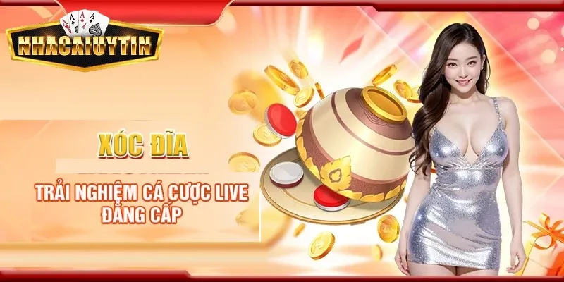 Cần quản lý vốn đúng cách khi tham gia xóc đĩa