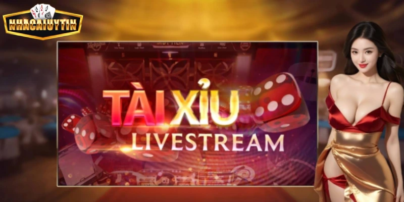 Chọn nhà cái uy tín chơi tài xỉu đổi thưởng thật Chọn nhà cái uy tín chơi tài xỉu đổi thưởng thật