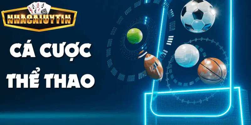 Hướng dẫn cá cược thể thao cho người chơi mới nhanh nắm rõ