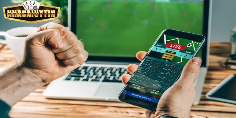 K Sports sở hữu giấy phép hoạt động hợp pháp