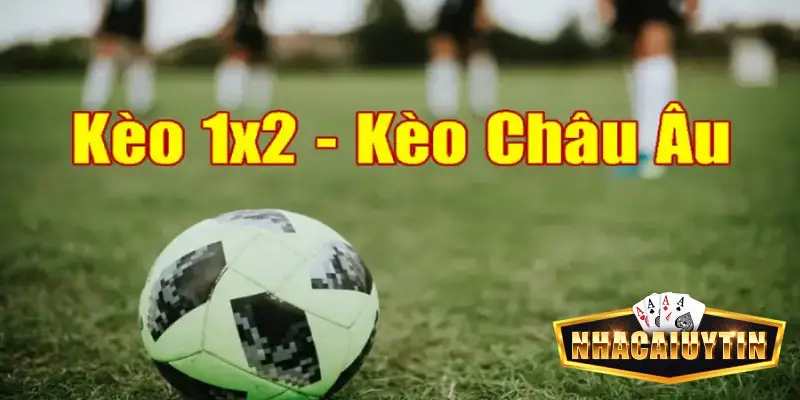 Kèo cá cược Cúp C1 châu Âu khá phổ biến trong bóng đá