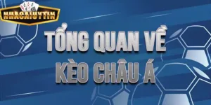 Kèo châu Á : Phân loại, cách đọc kèo và kinh nghiệm cược