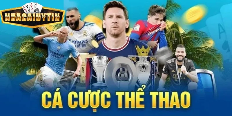 T Sports thể thao được đánh giá là sảnh cược uy tín T Sports thể thao được đánh giá là sảnh cược uy tín